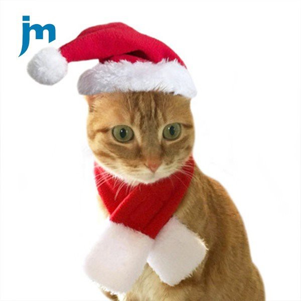 Christmas Set Dog Cat Santa Hat