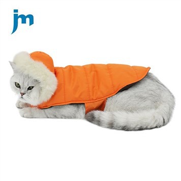 Cótaí Báistí Cat